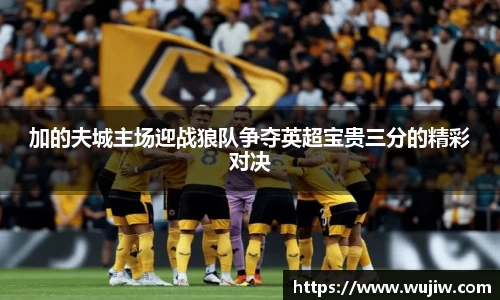 开云kaiyun加的夫城主场迎战狼队争夺英超宝贵三分的精彩对决